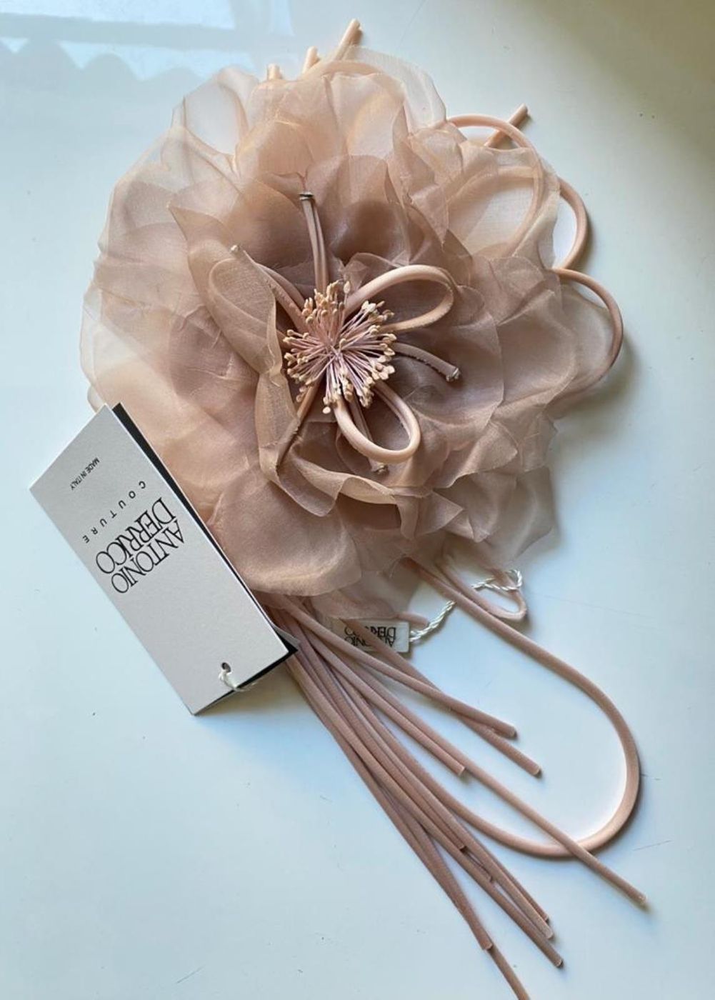 ANTONIO D'ERRICO F12011