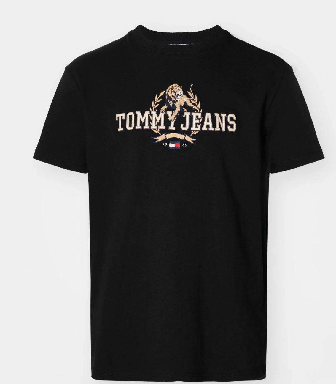 TOMMY HILFIGER DM0DM20818
