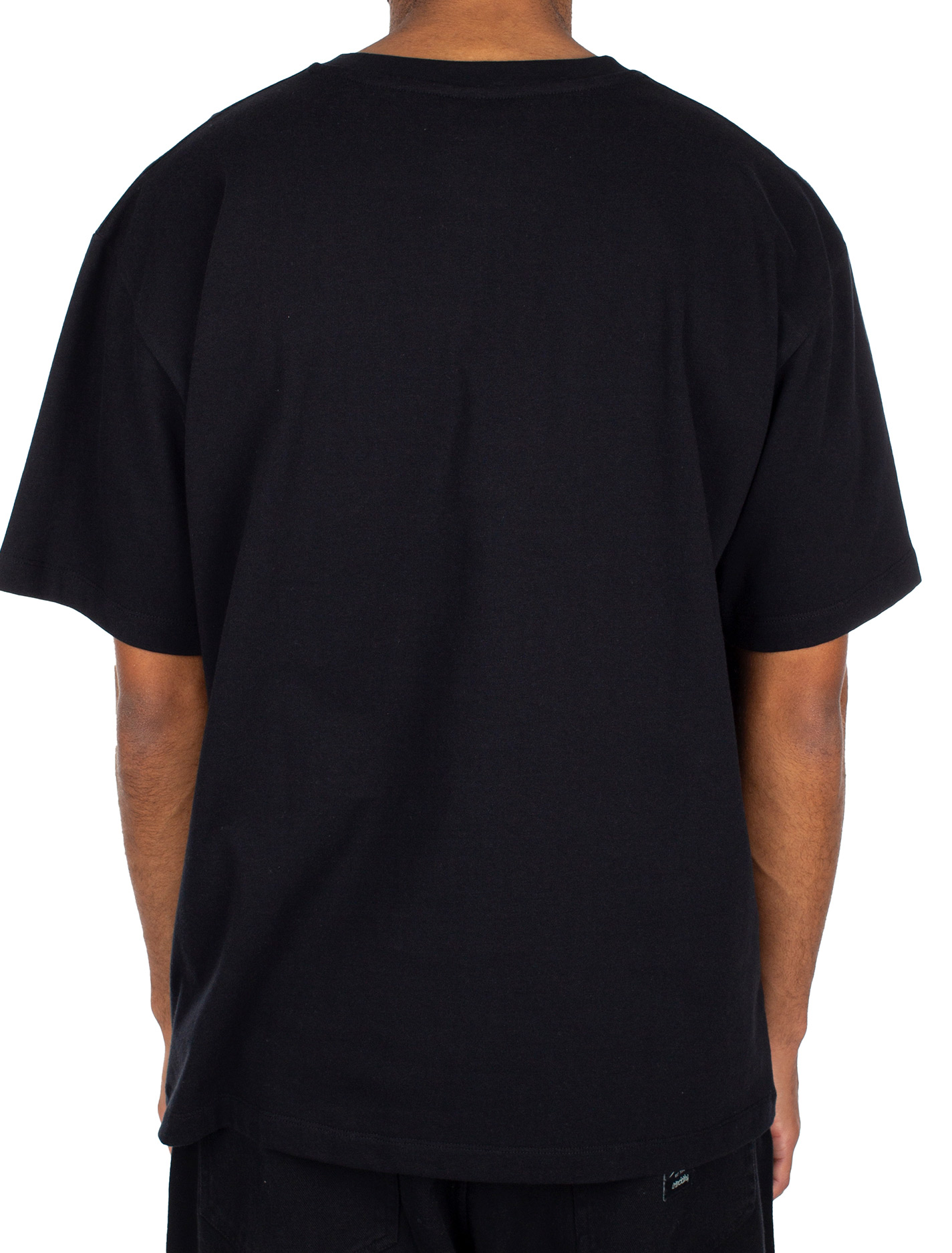 Iriedaily Heavy Flag T-Shirt