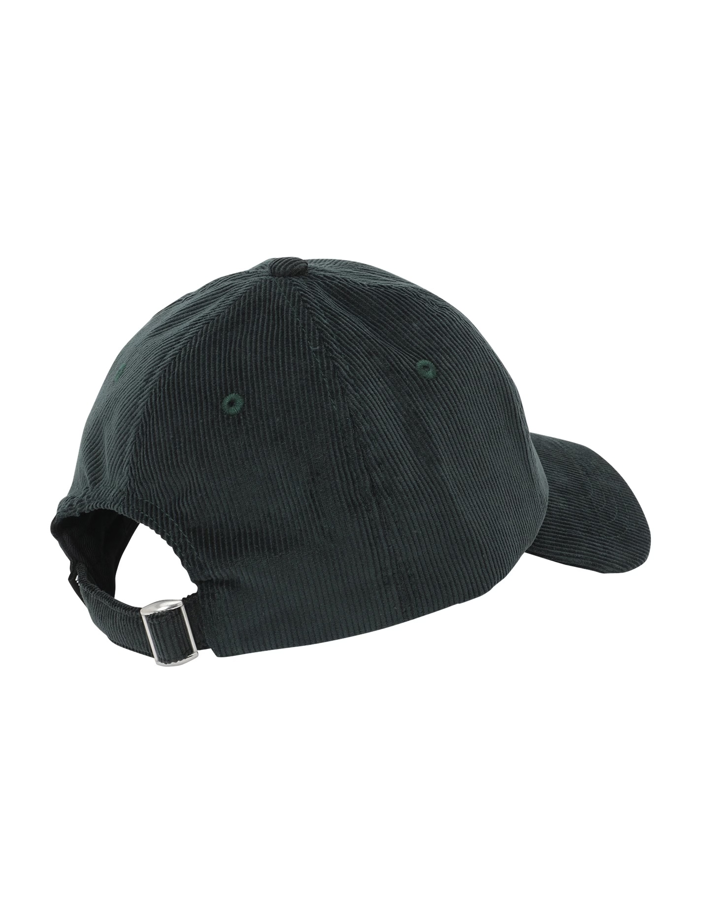 Iriedaily Corvin Dad Cap