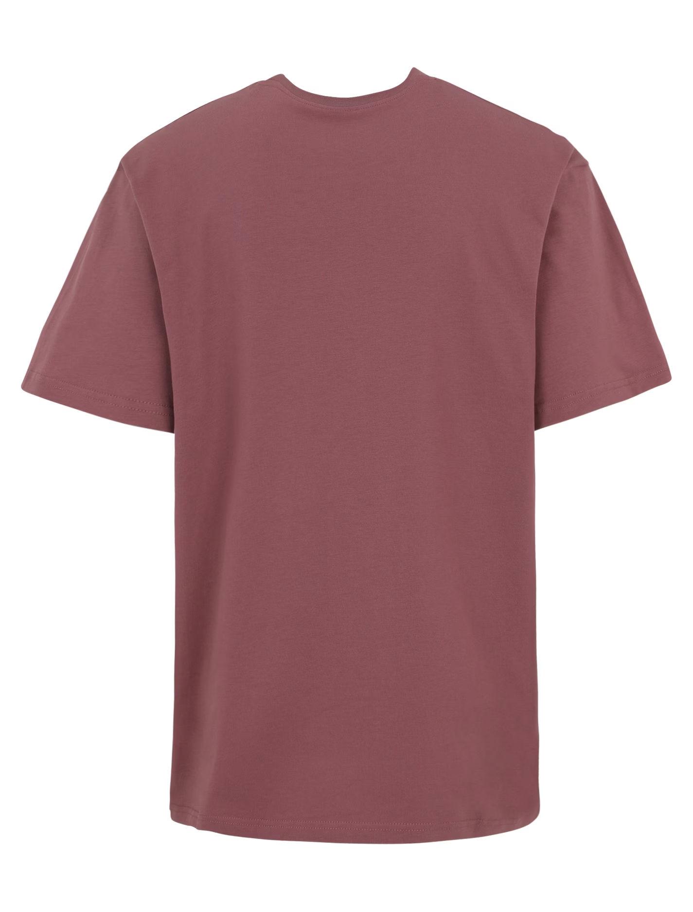 Iriedaily Homeoffice T-Shirt