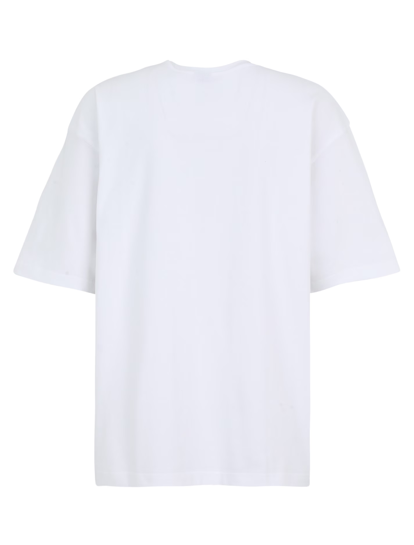 Iriedaily Heavy Flag T-Shirt