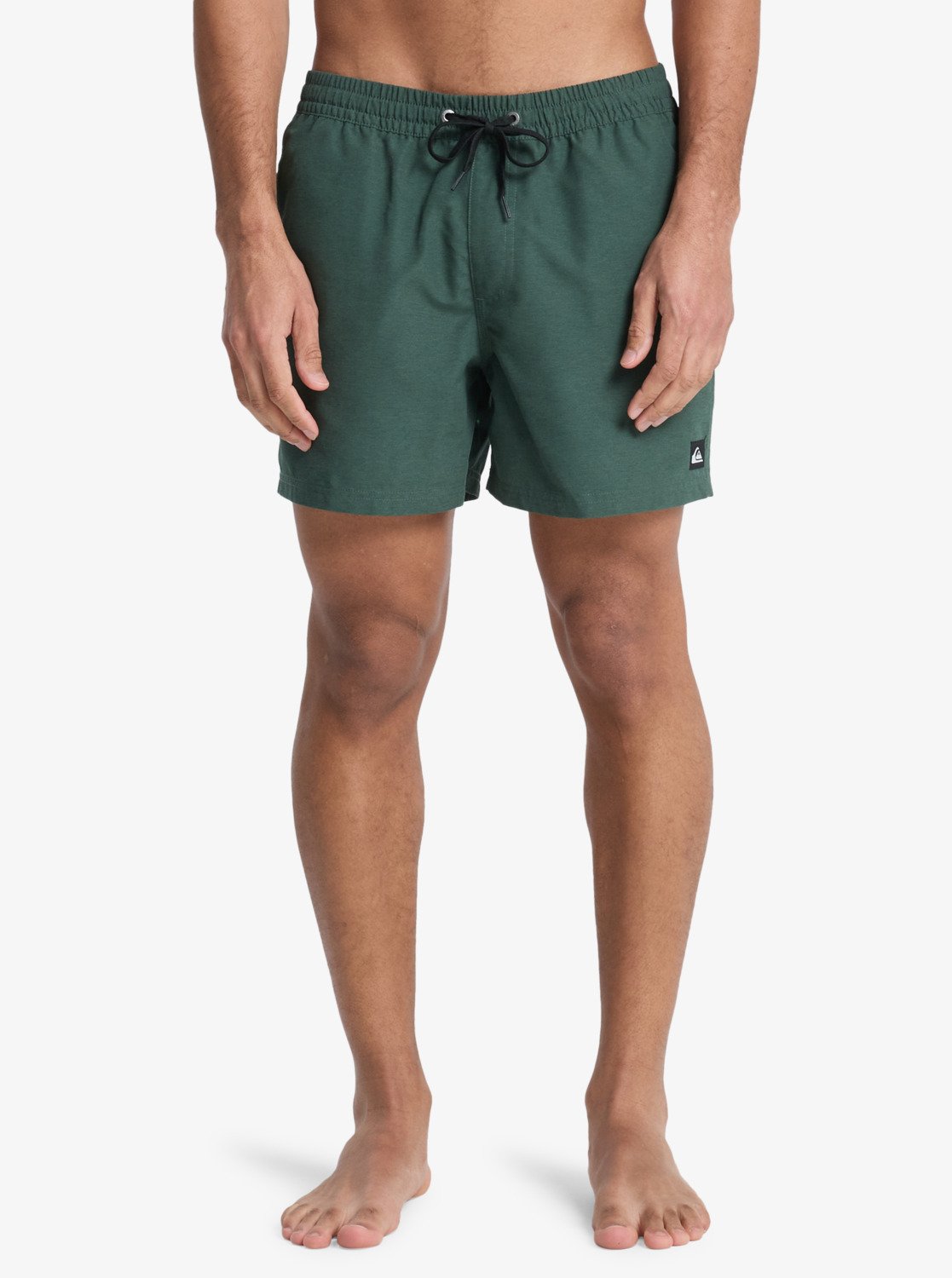 Quicksilver Everyday Volley 15