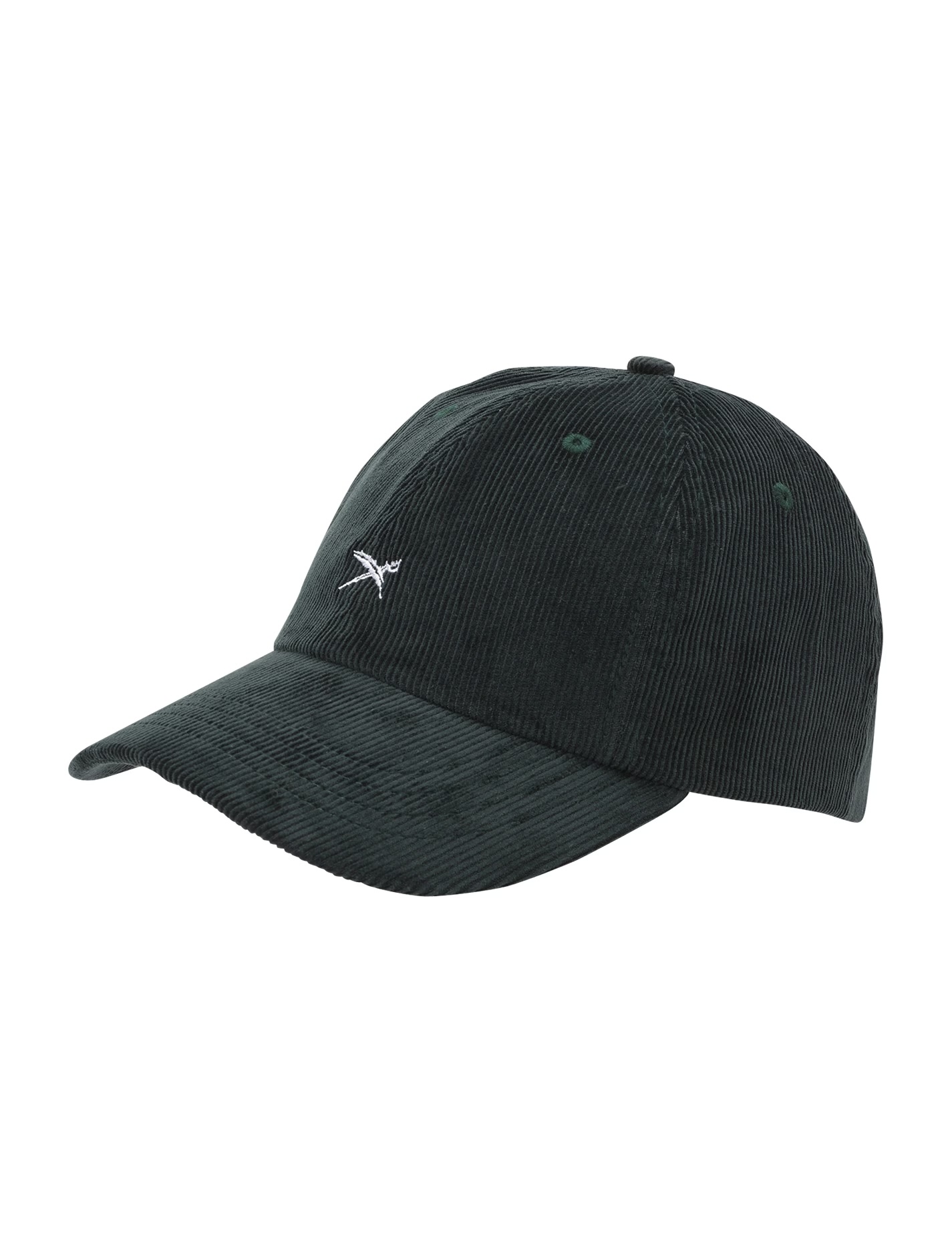 Iriedaily Corvin Dad Cap