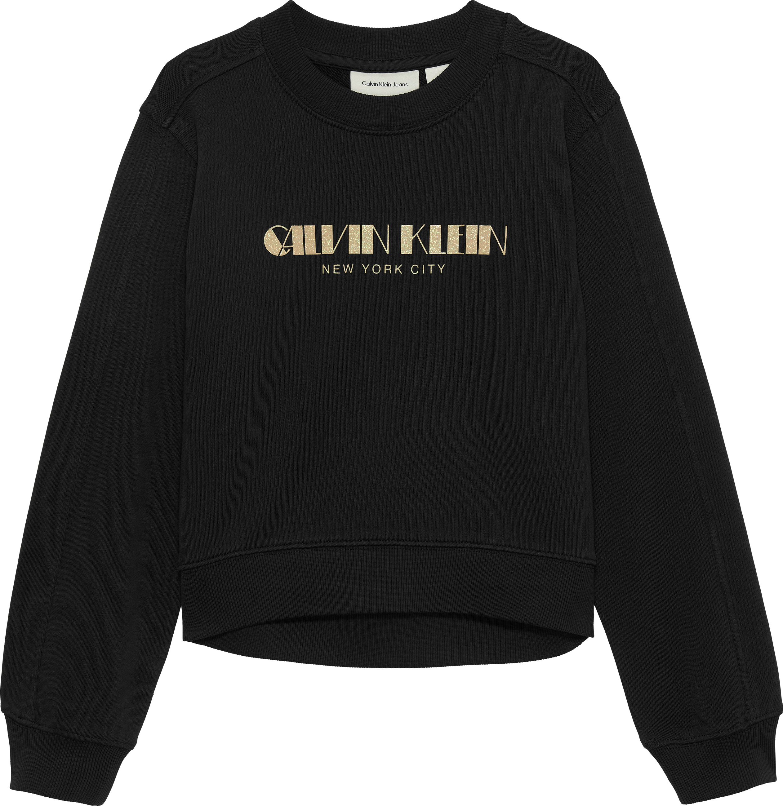 CALVIN KLEIN IG0IG03069