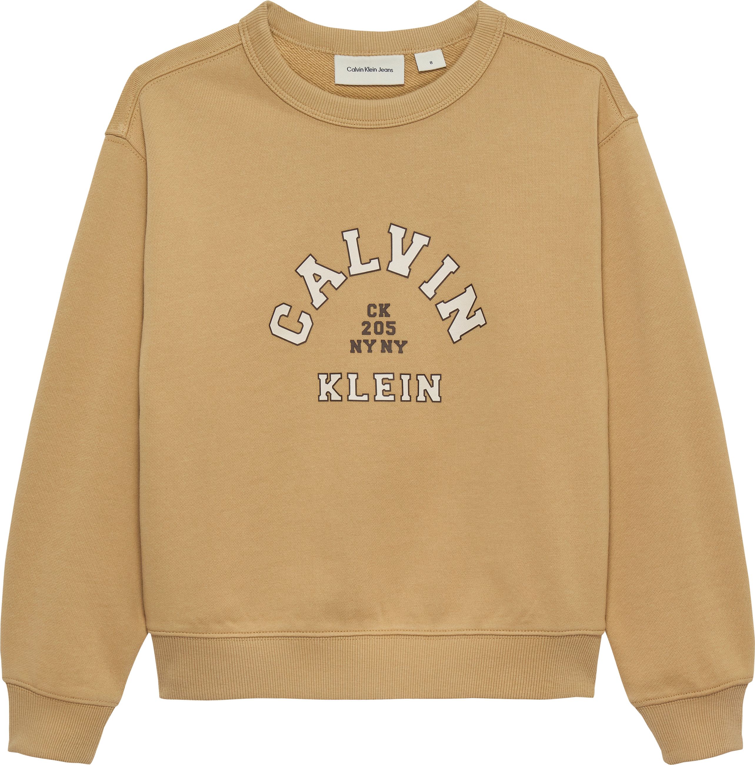 CALVIN KLEIN IB0IB02619