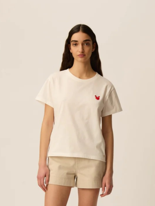 DES PETITS HAUTS ILIE