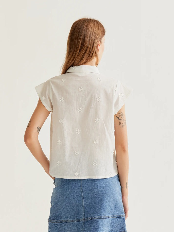 COMPANIA FANTASTICA 61C/43031