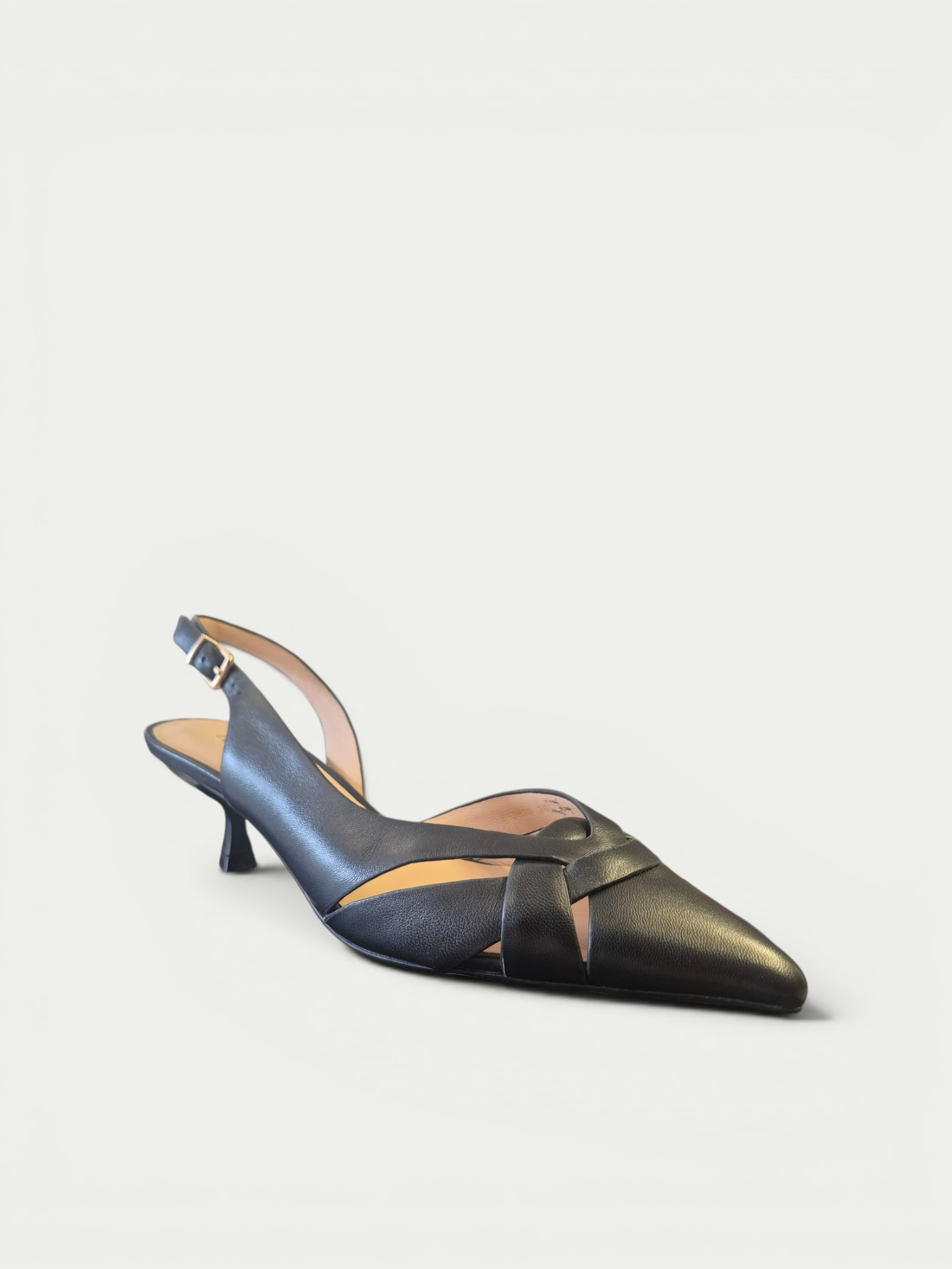 GIANNI RENZI ST2639