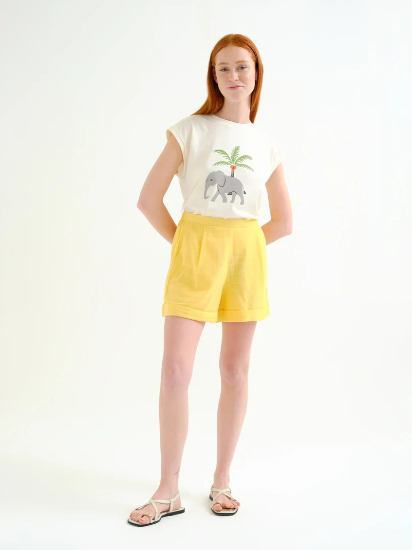 COMPANIA FANTASTICA 62C/43100