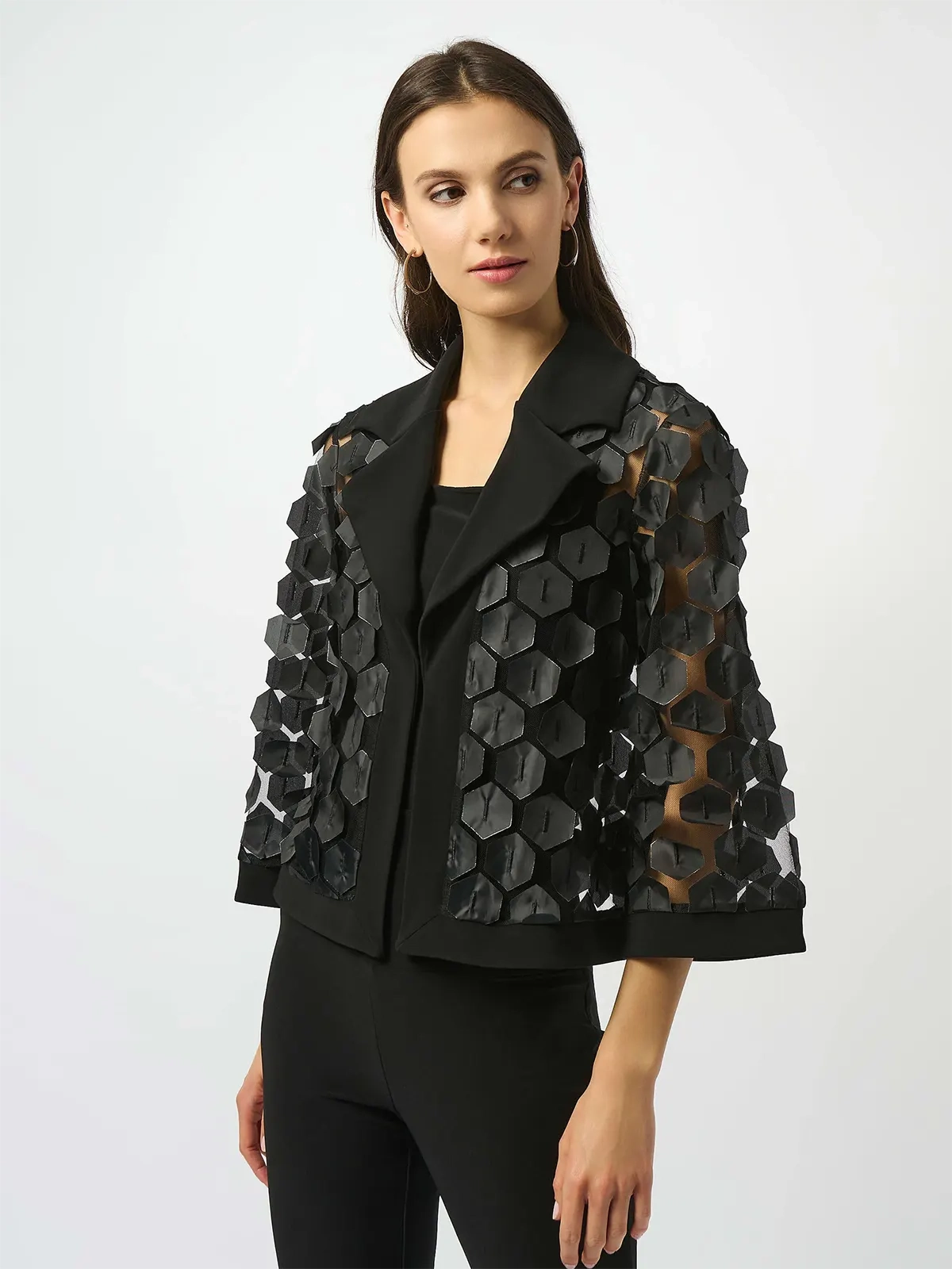 JOSEPH RIBKOFF 253089