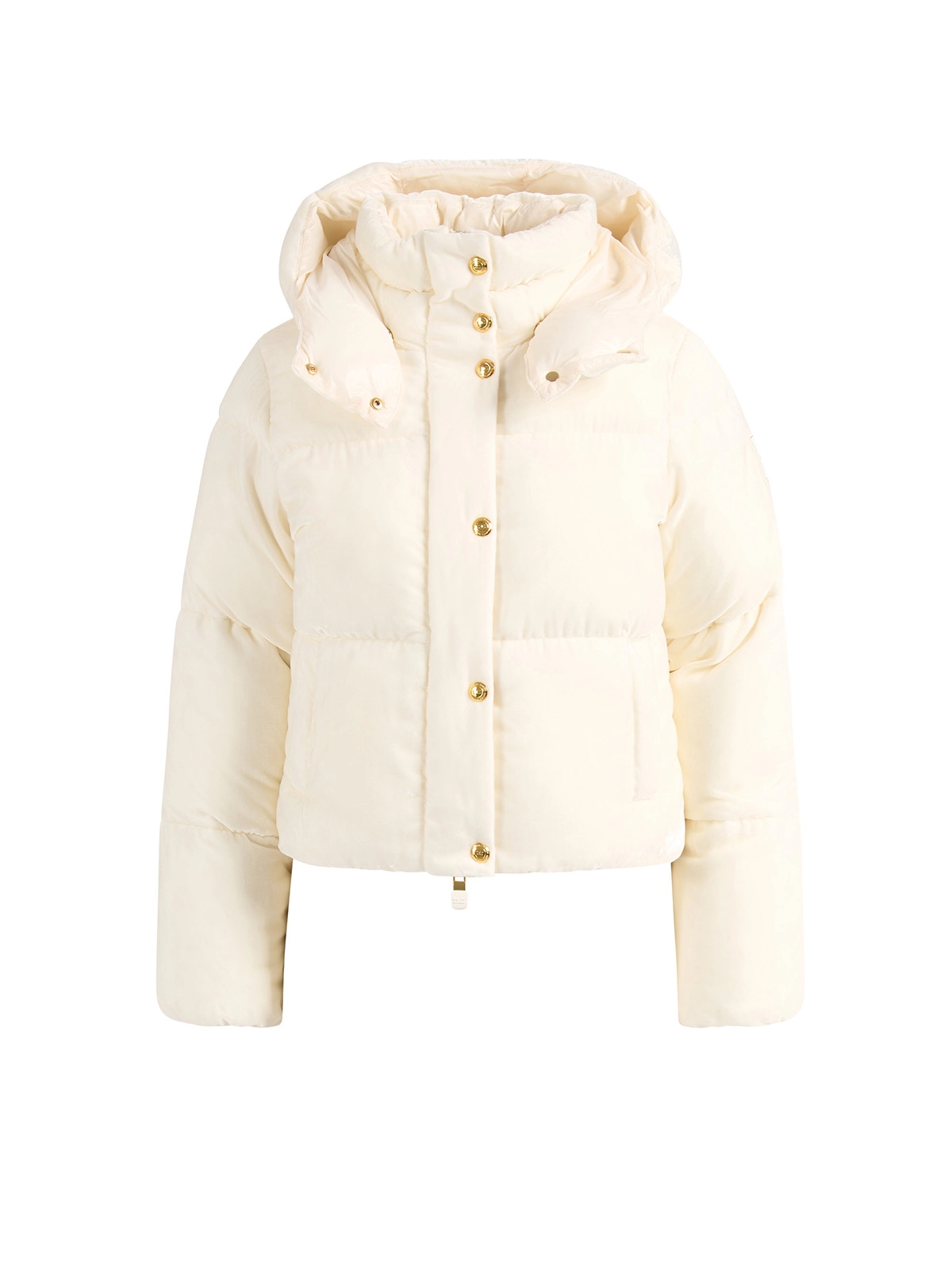 PI82D56E2 Elisabetta Franchi Velvet Down Jacket With Hood