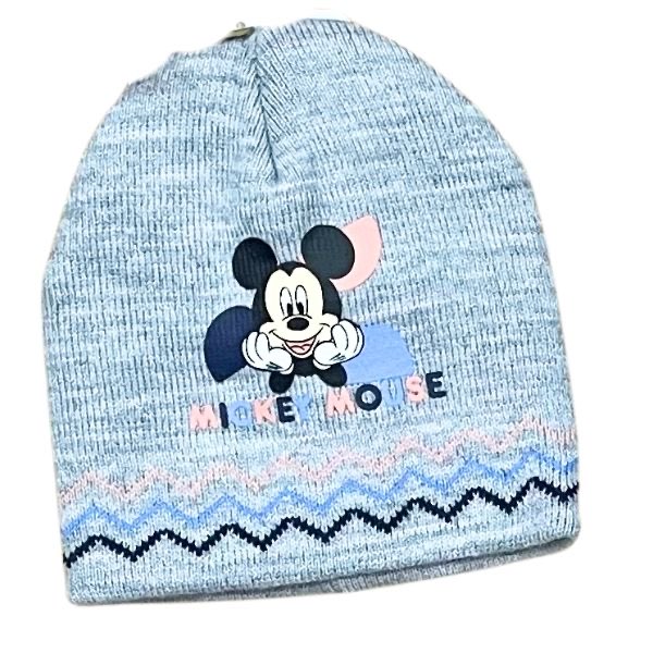 DISNEY HY45000