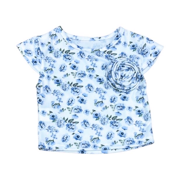 NEW COLLECTION 33829T