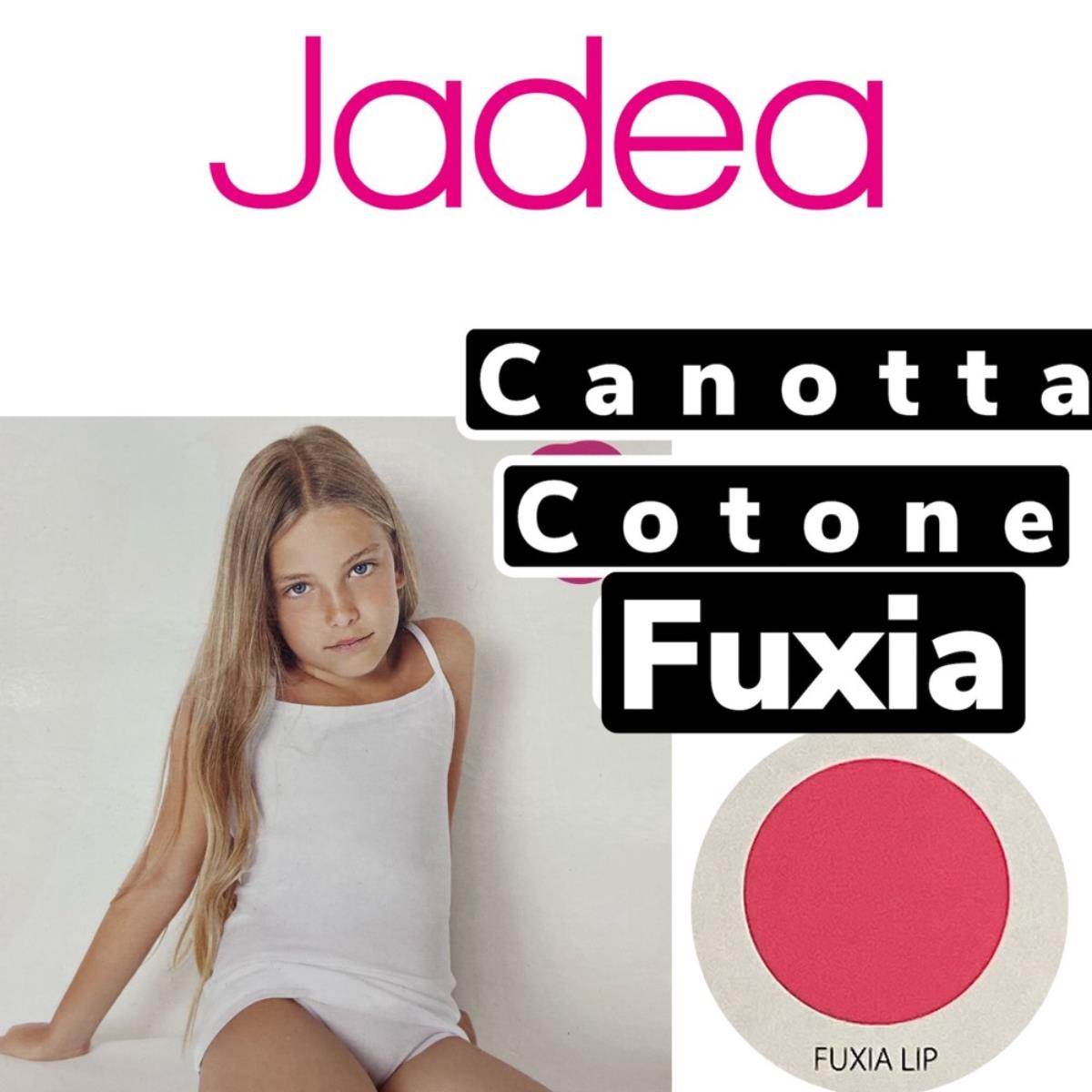 JADEA 282