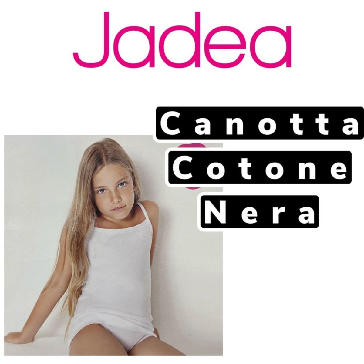 JADEA 282