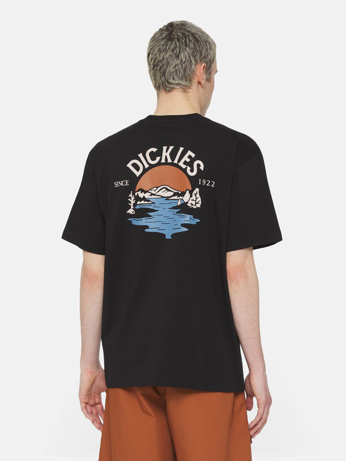 DICKIES DK0A4YRD