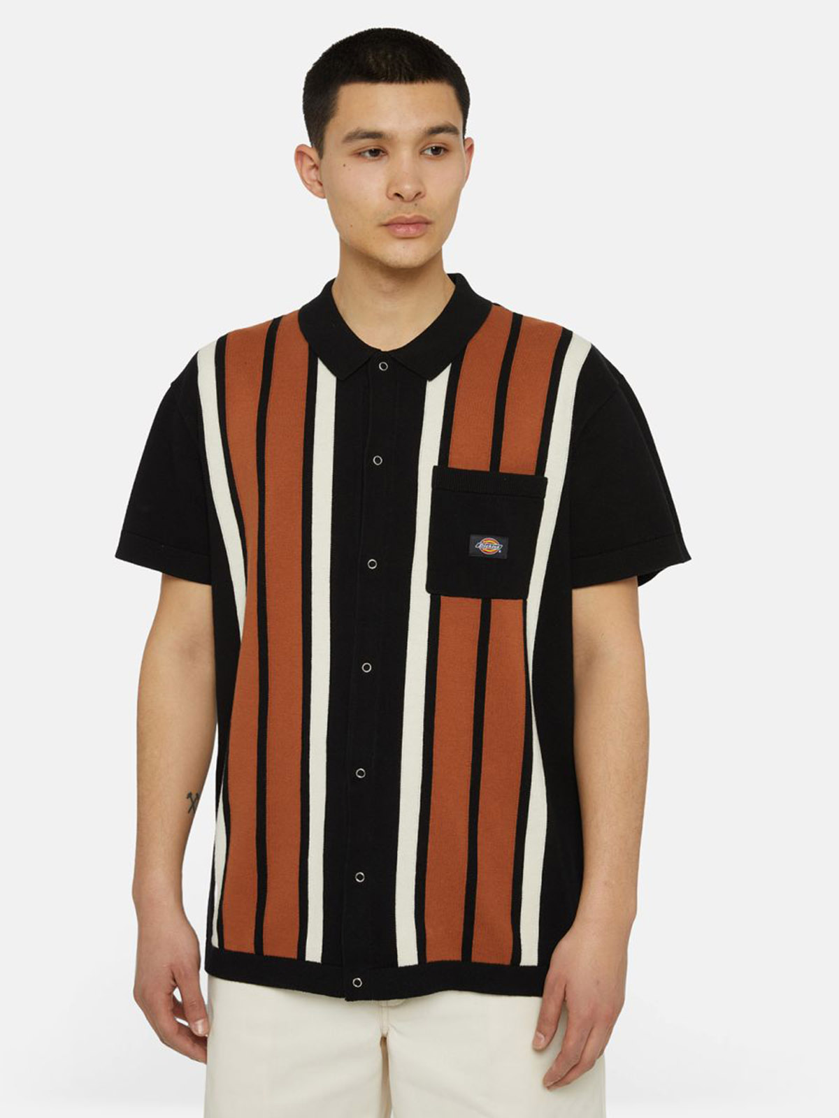DICKIES DK0A4YSO