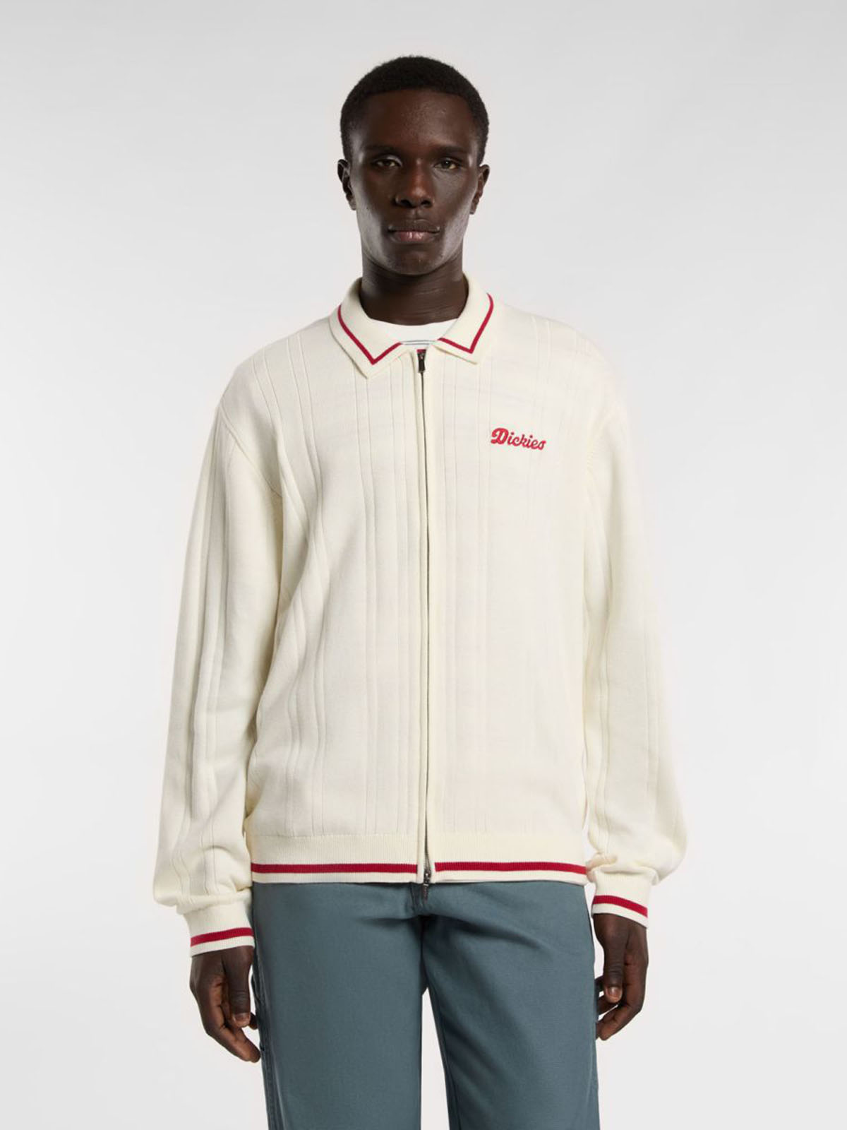 DICKIES DK0A4Z79