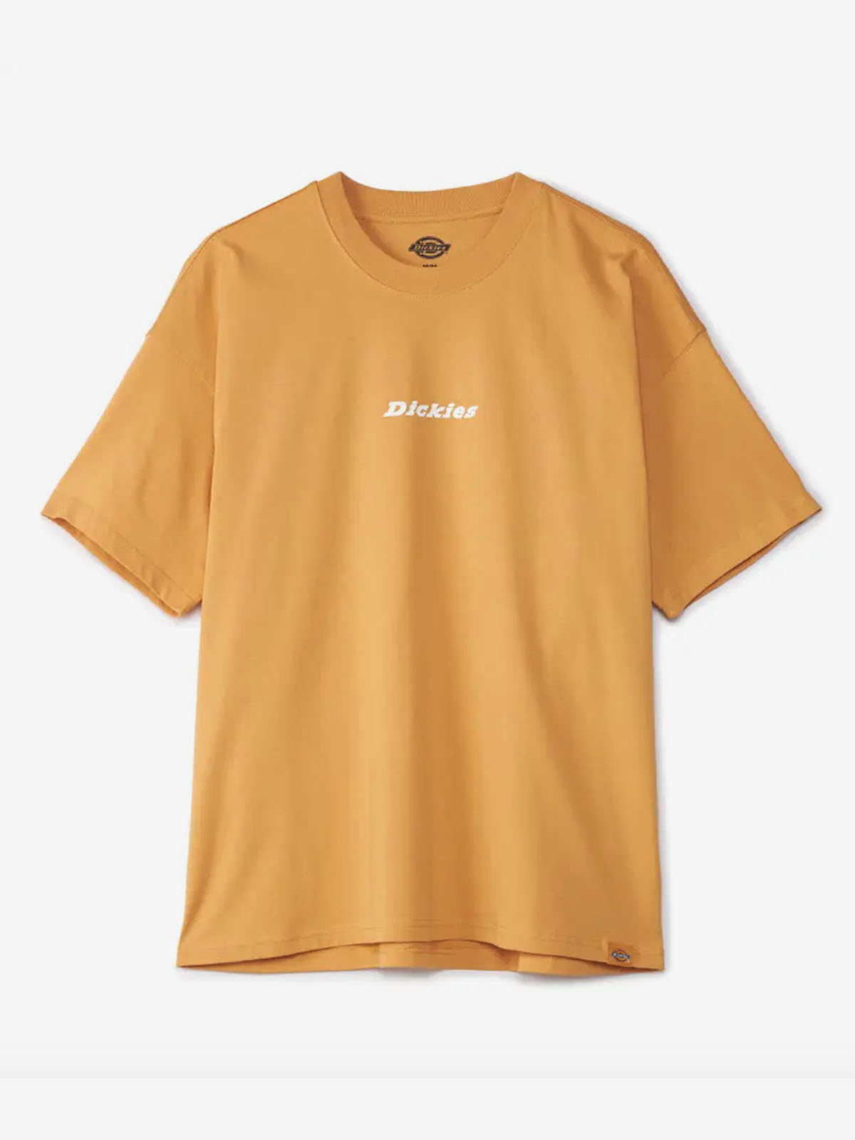 DICKIES DK0A4YRN