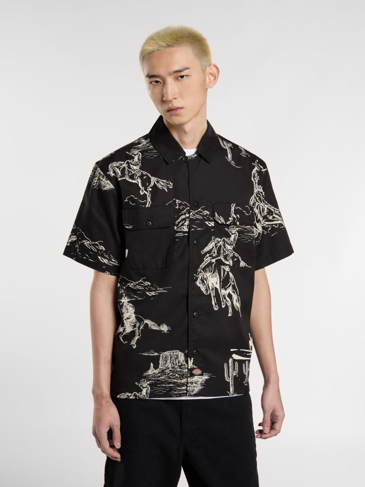 DICKIES DK0A4Z7S