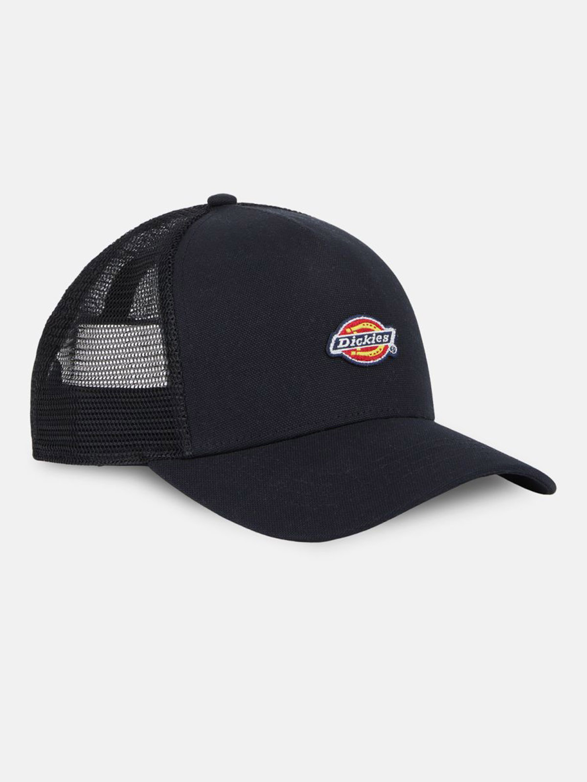 DICKIES DK0A4YV3
