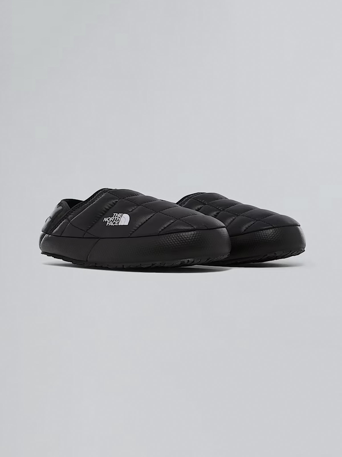 THE NORTH FACE NF0A3V1H