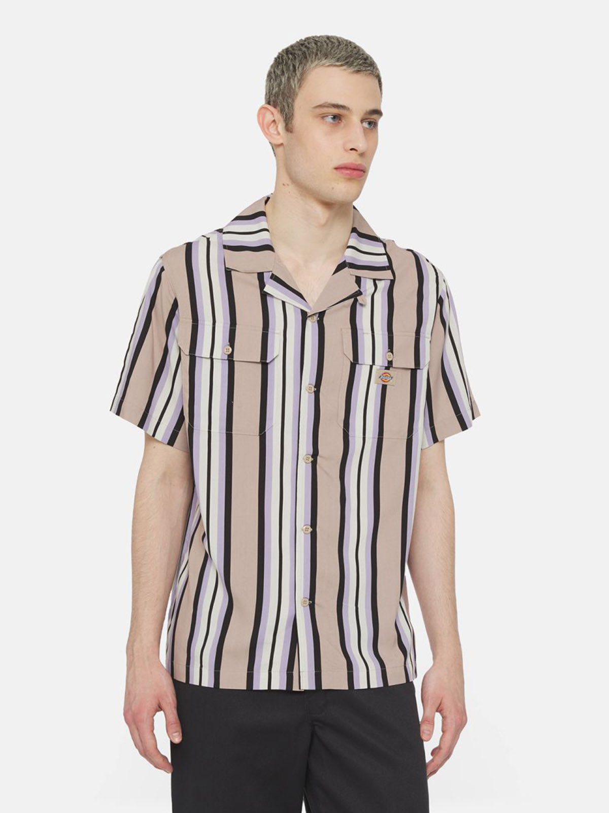 DICKIES DK0A4YYS