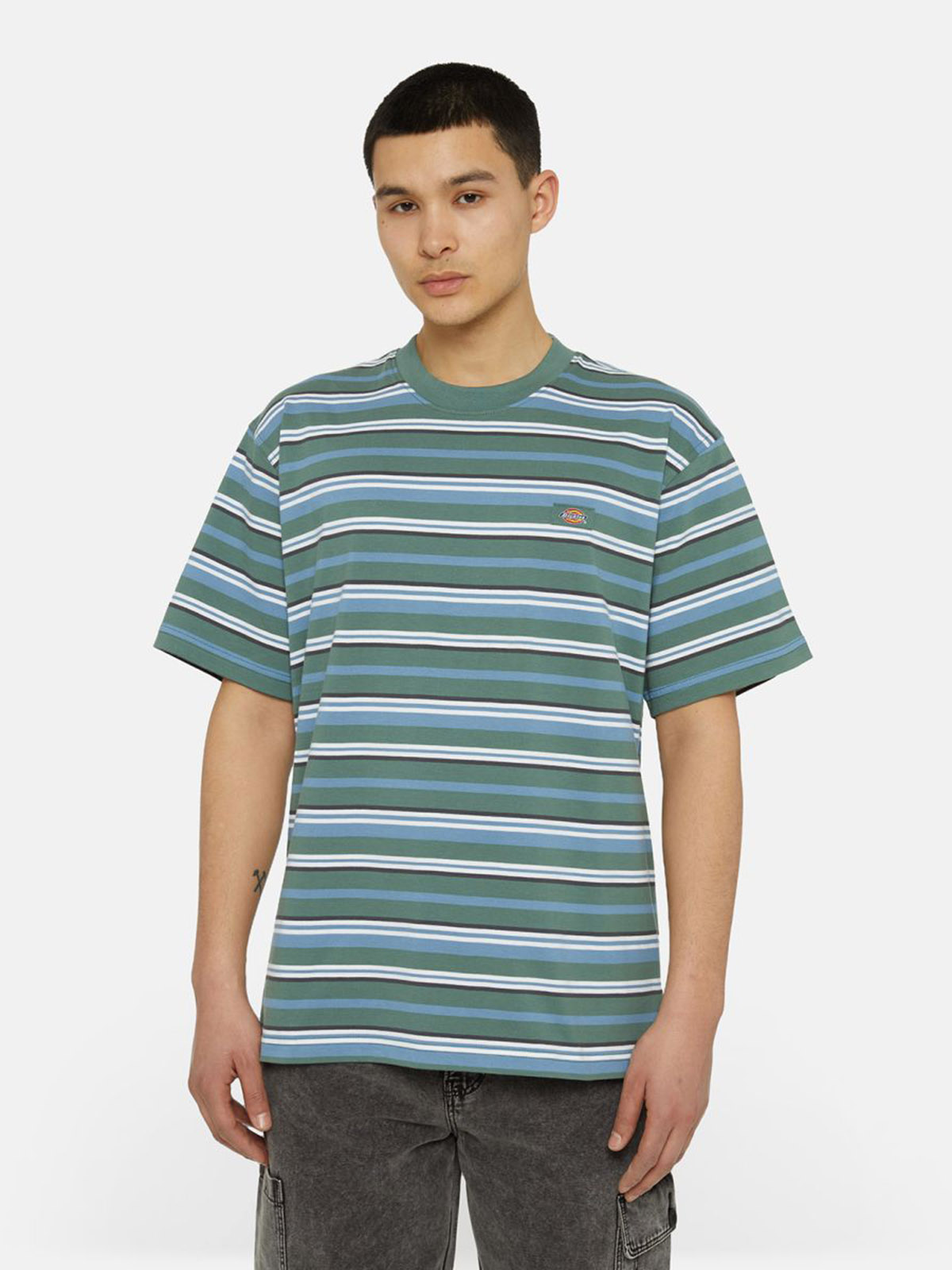 DICKIES DK0A4YR1
