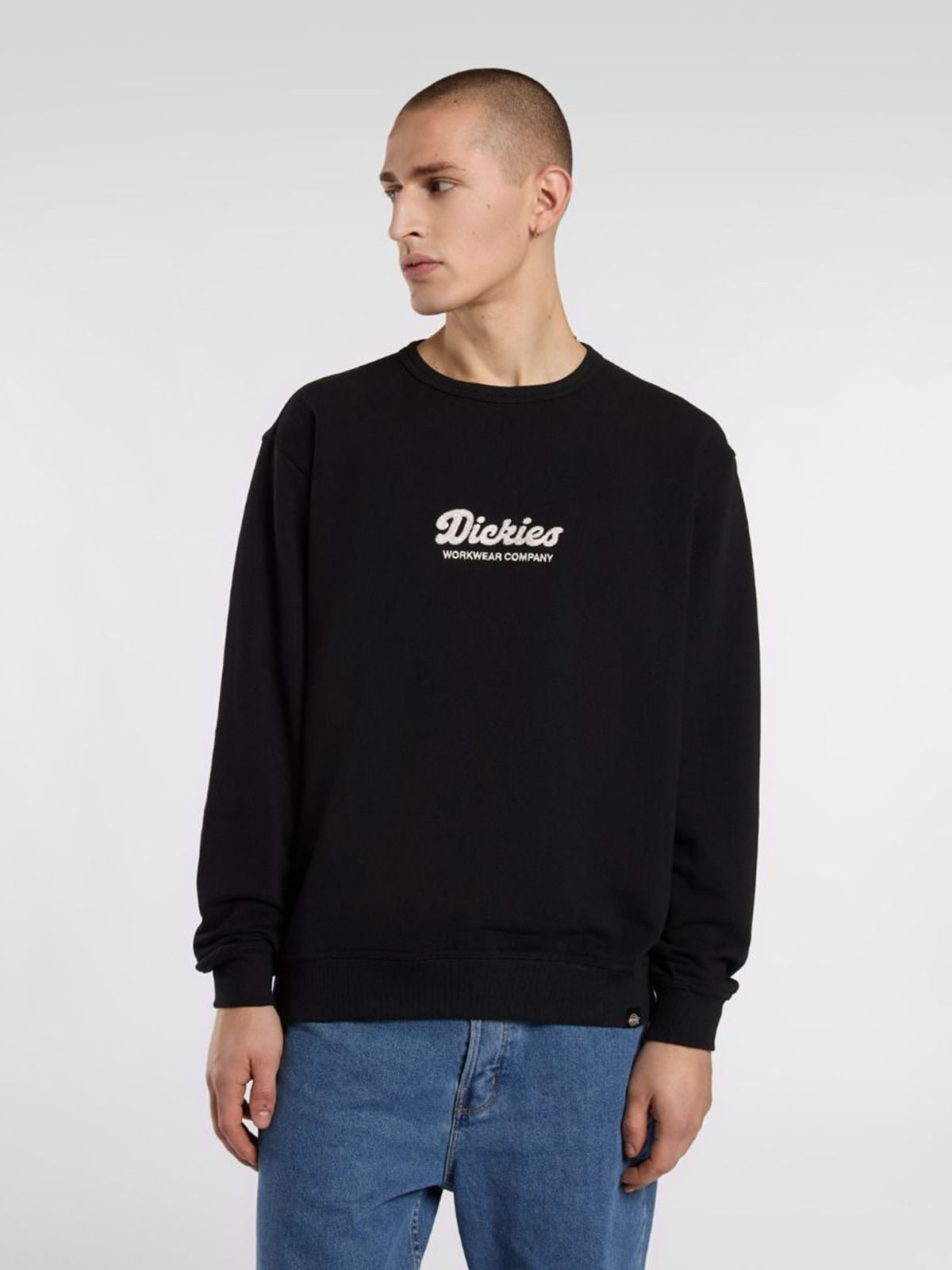 DICKIES DK0A8682