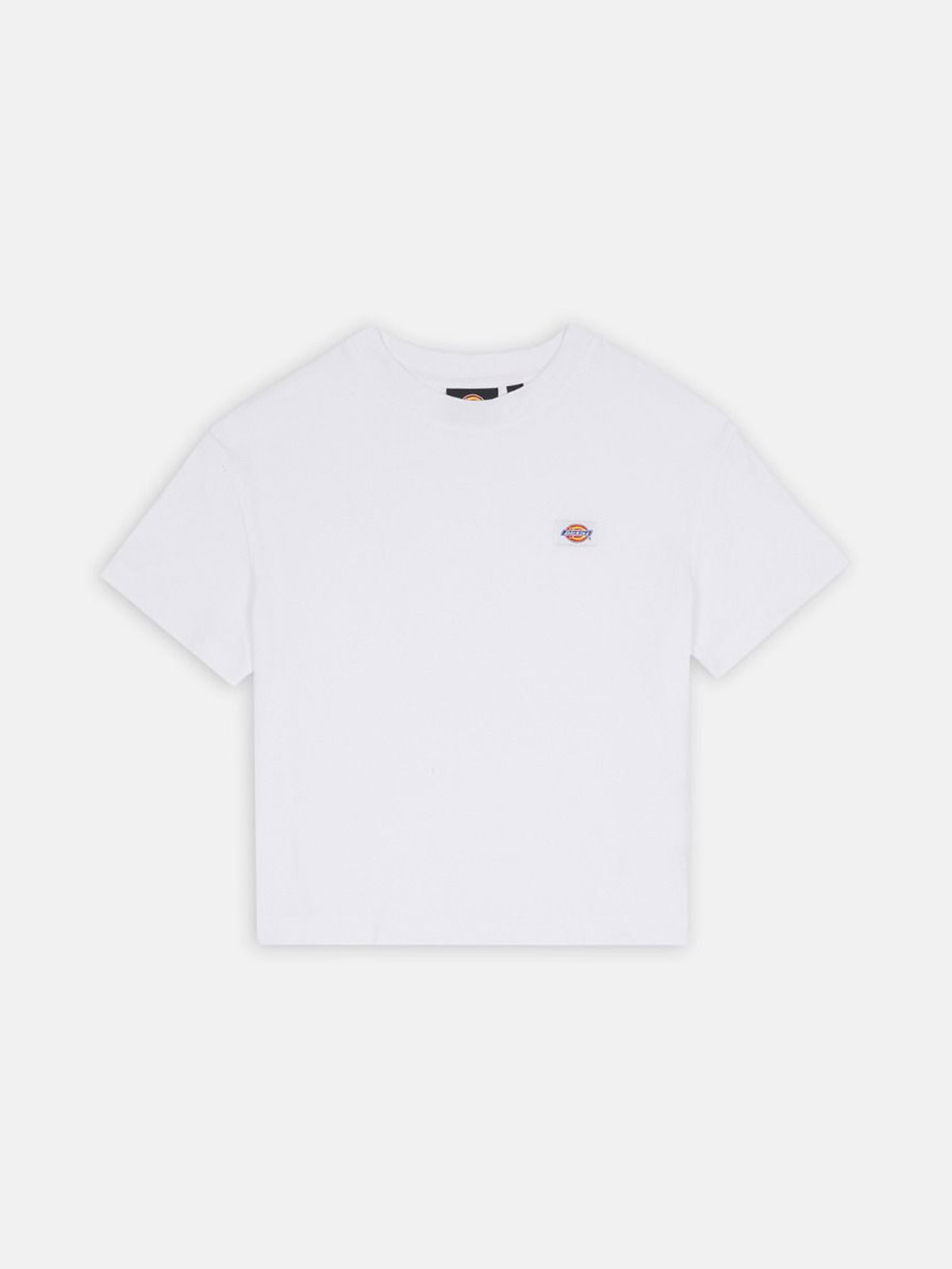 DICKIES DK0A4Y8L