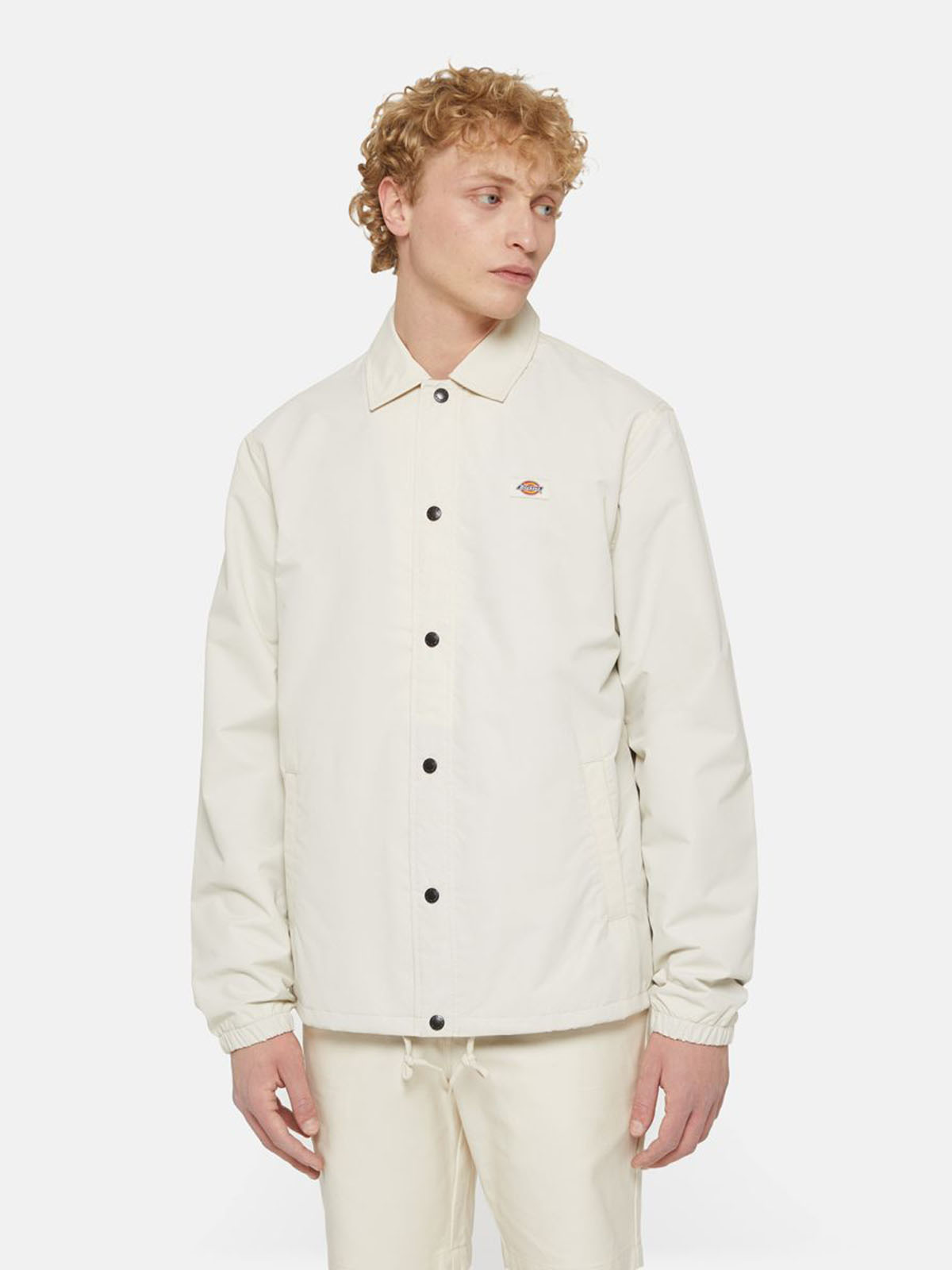 DICKIES DK0A4XEW