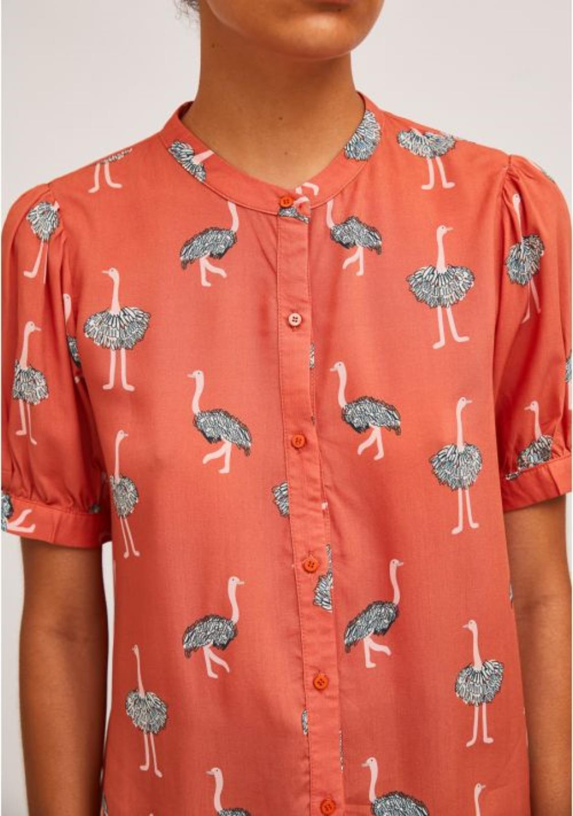 COMPANIAFANTASTICA HAN81