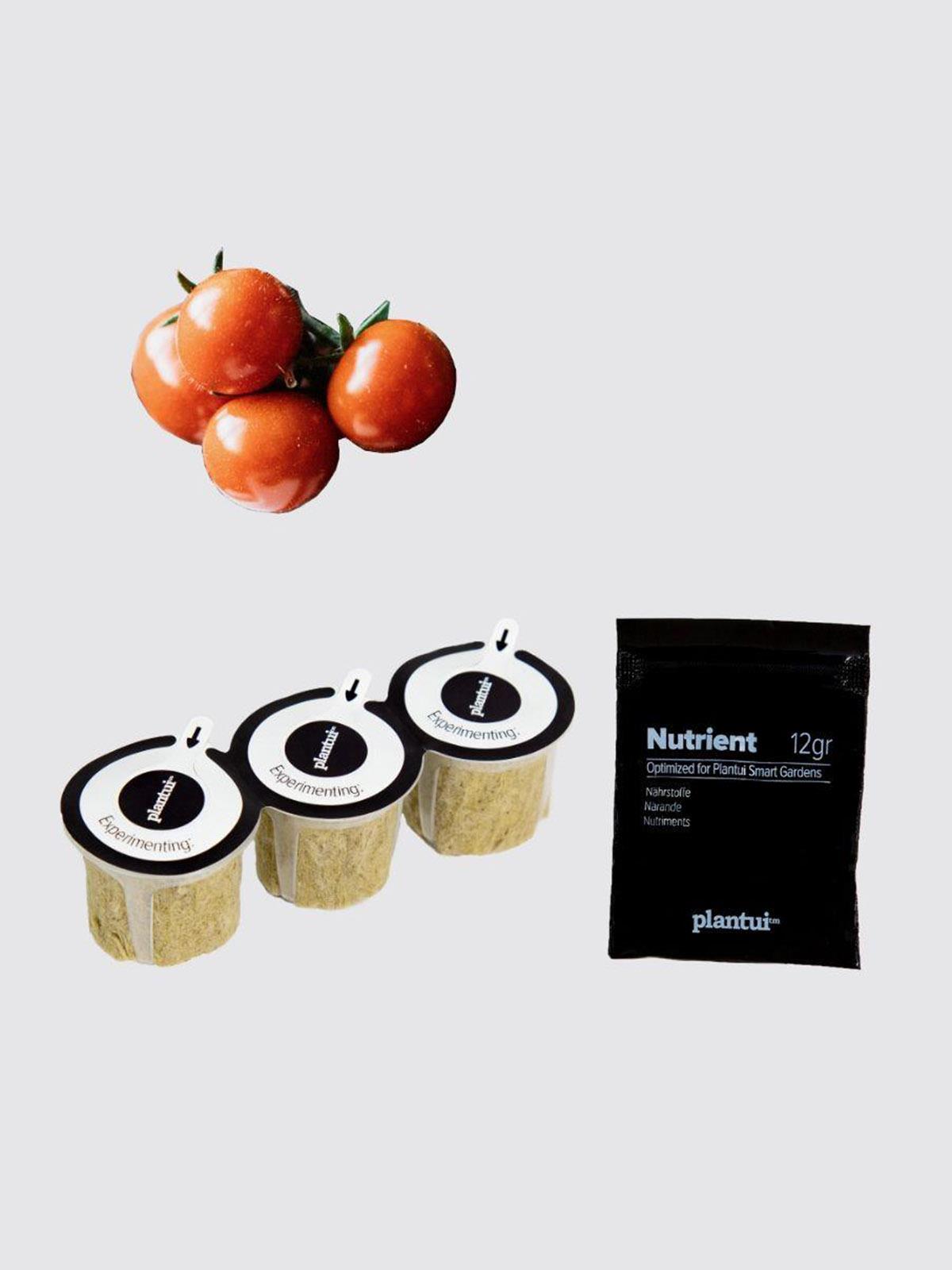PLANTUI V002