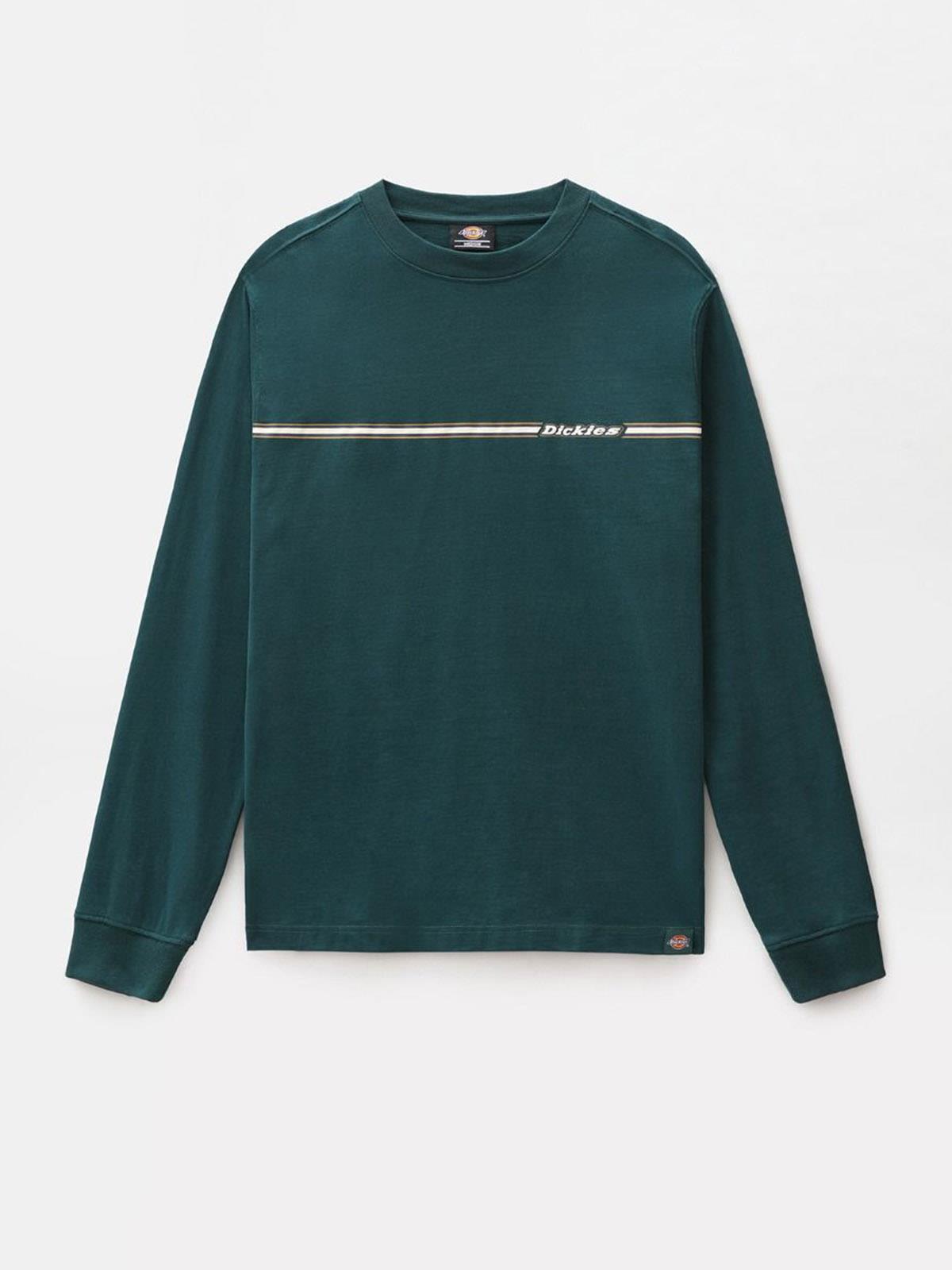 DICKIES DK0A4XIW