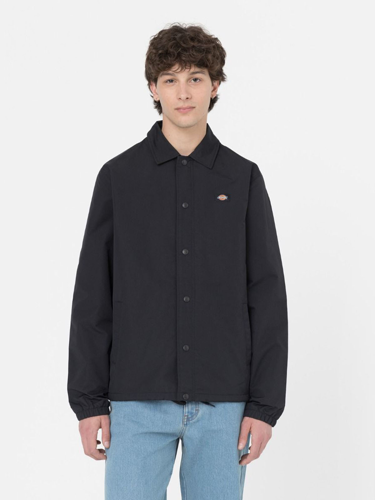 DICKIES DK0A4XEW