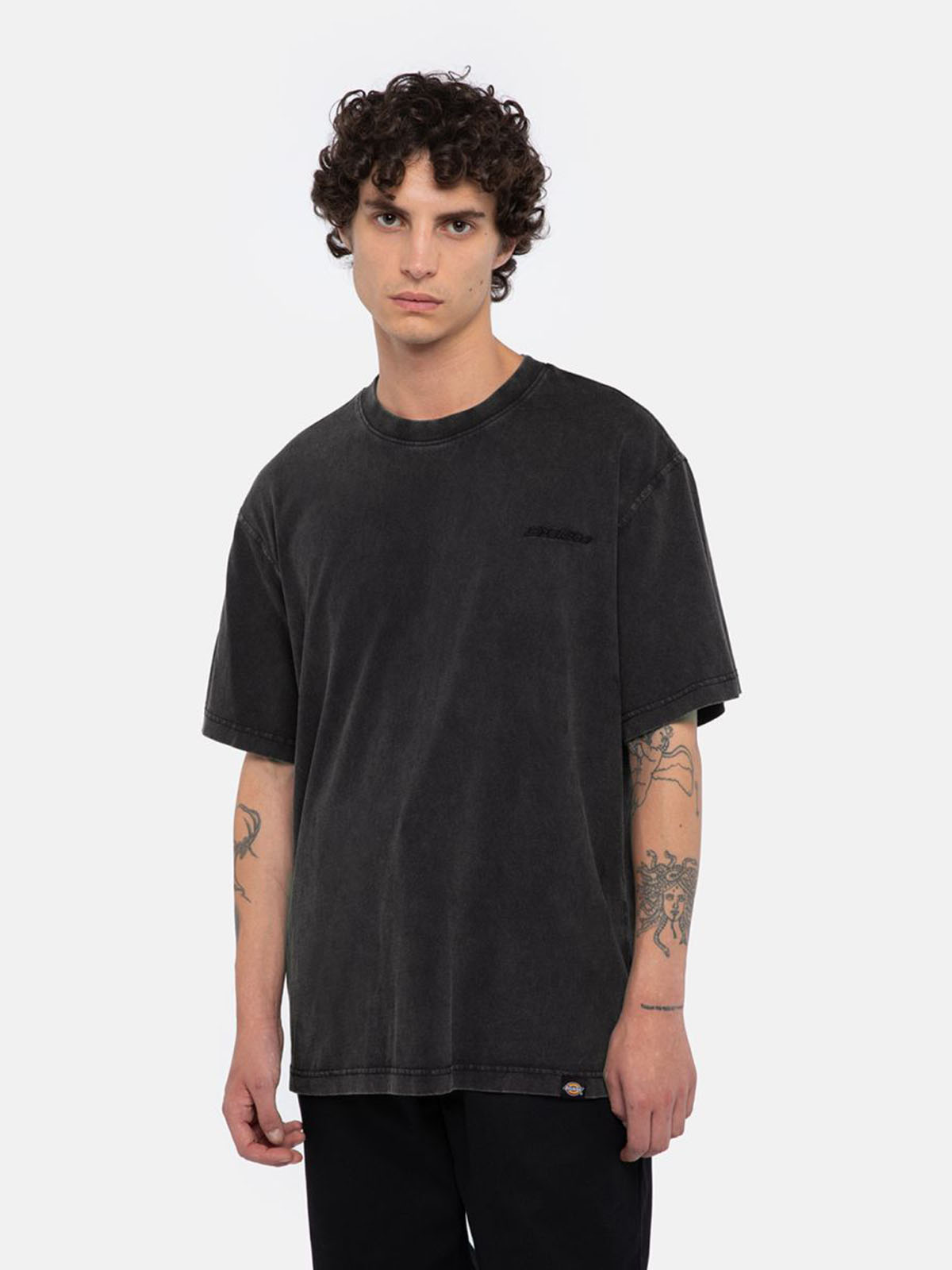 DICKIES DK0A866B