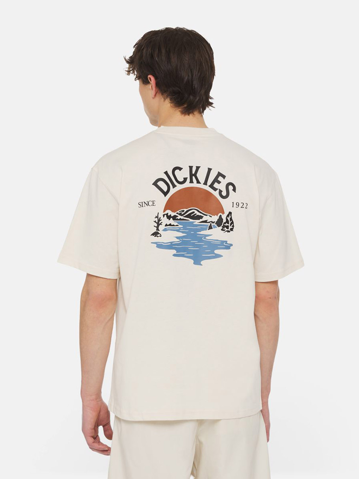 DICKIES DK0A4YRD