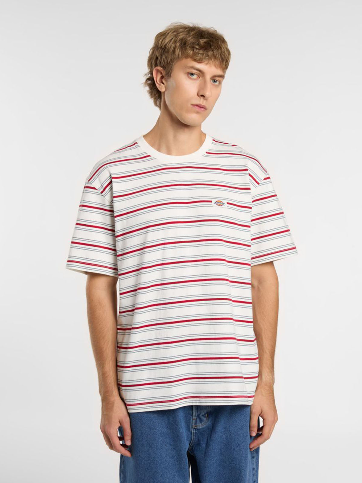 DICKIES DK0A4Z8S