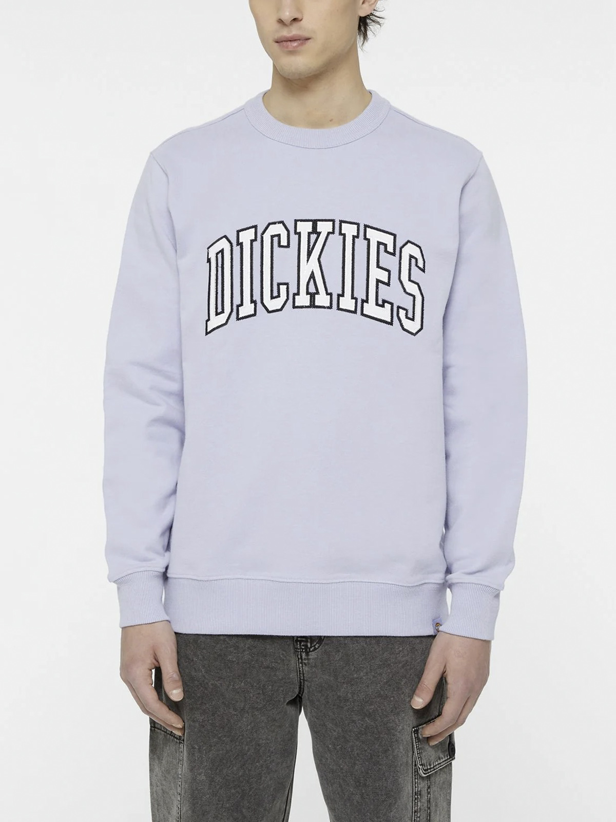 DICKIES DK0A4XAB