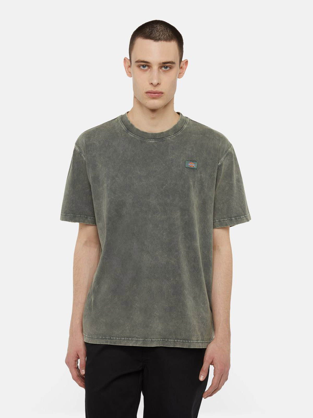 DICKIES DK0A4YRO