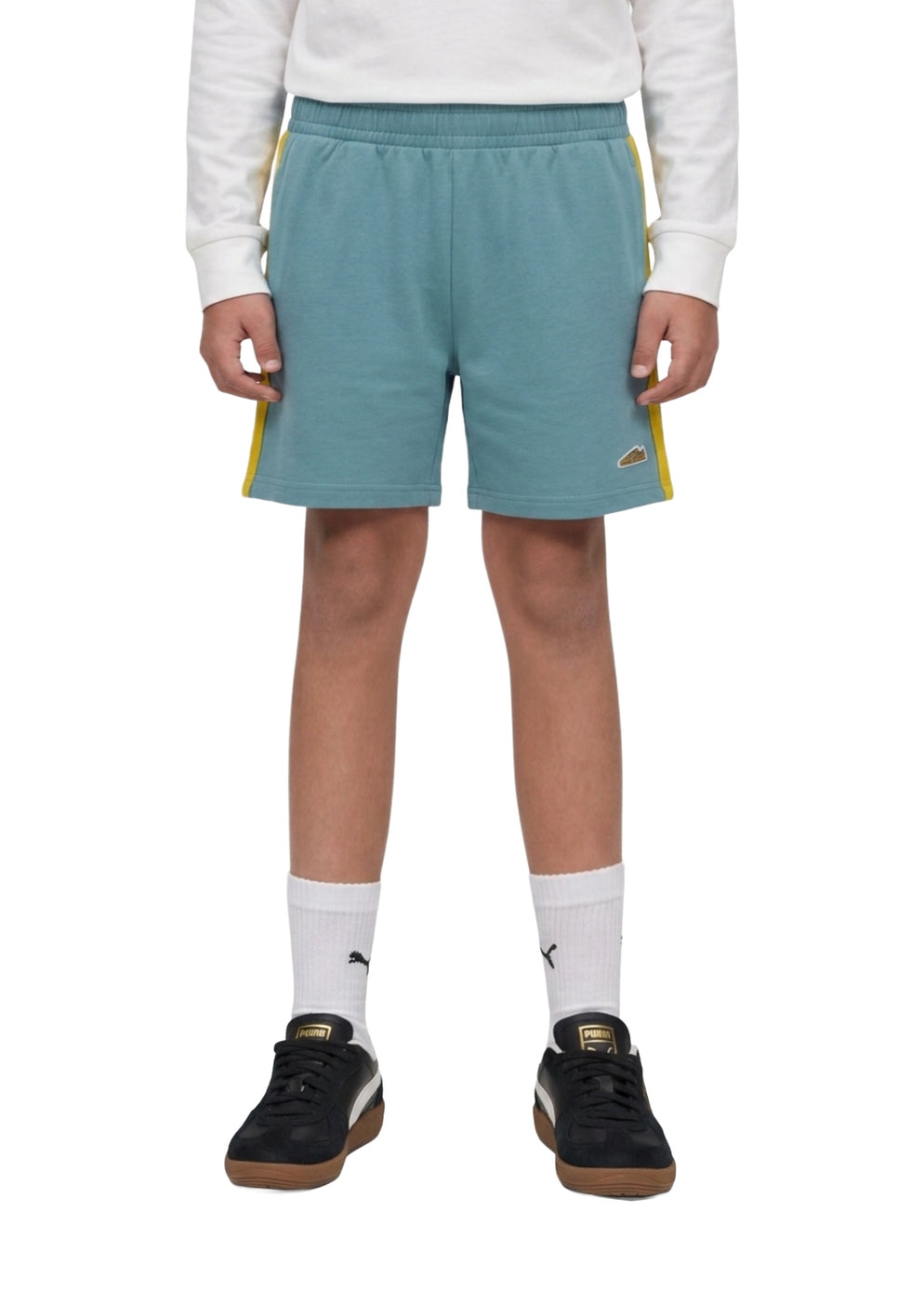 Puma Pantaloncini Sportivi 695487