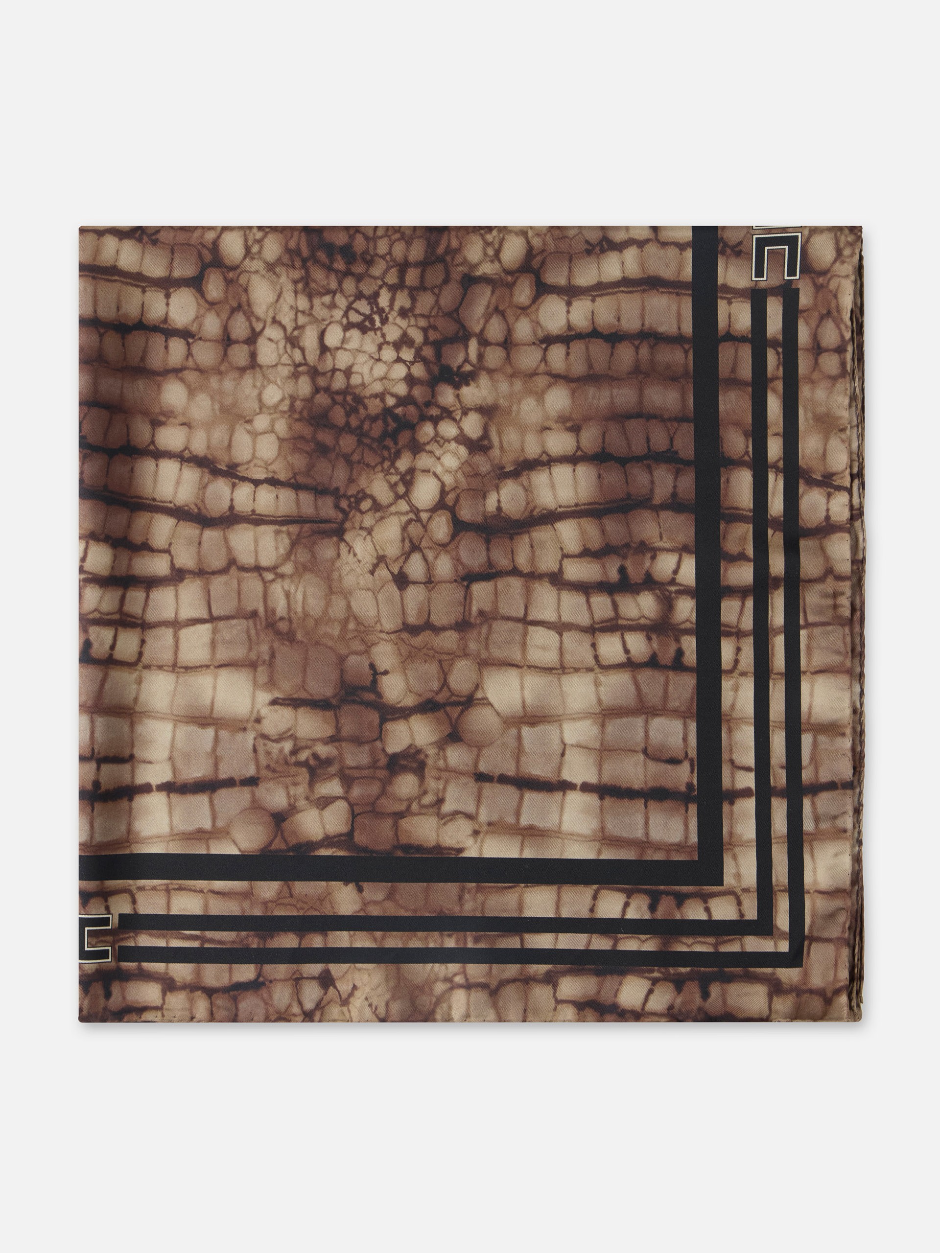 ELISABETTA FRANCHI FOULARD - DONNA