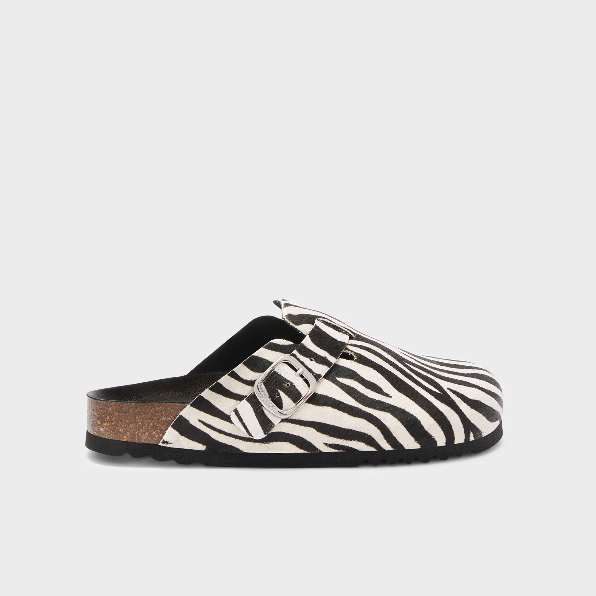 SCHOLL 012031851