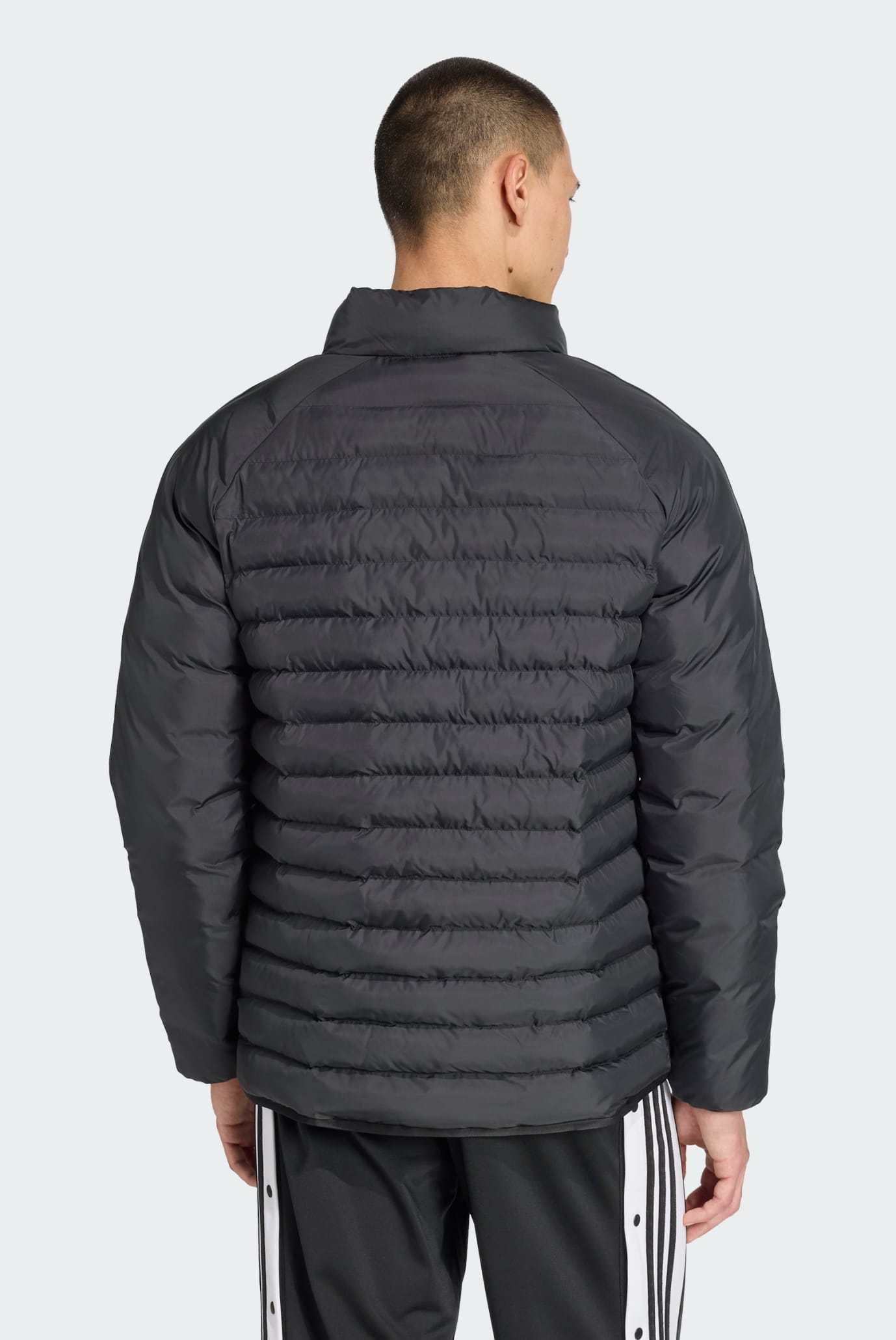 ADIDAS Originals GIUBBOTTO UOMO