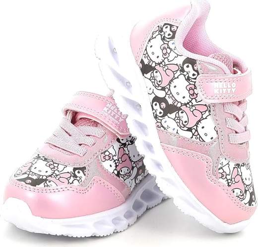Fla HK009675