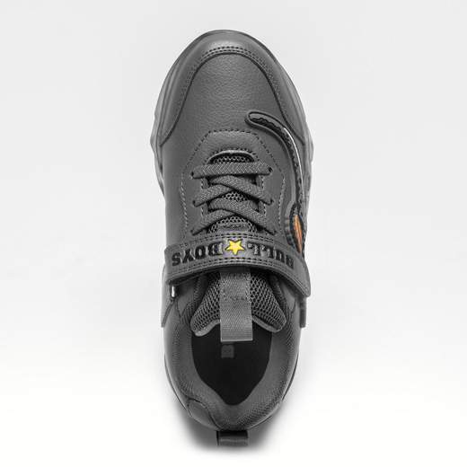 Bull Boys DNAL3396