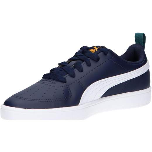 Puma 384311