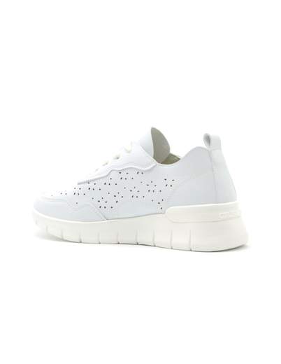Grunland SC0196-F6