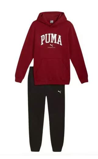 Puma 683817